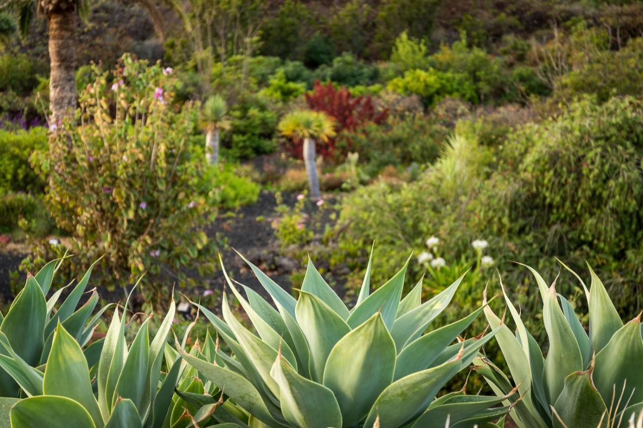 De La Palma Breña Baja